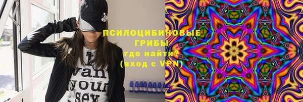 молекула духа Алзамай