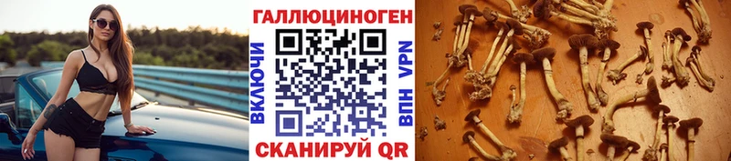 Галлюциногенные грибы прущие грибы Коряжма