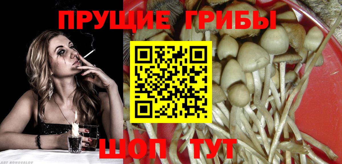 Псилоцибиновые грибы мицелий Коряжма